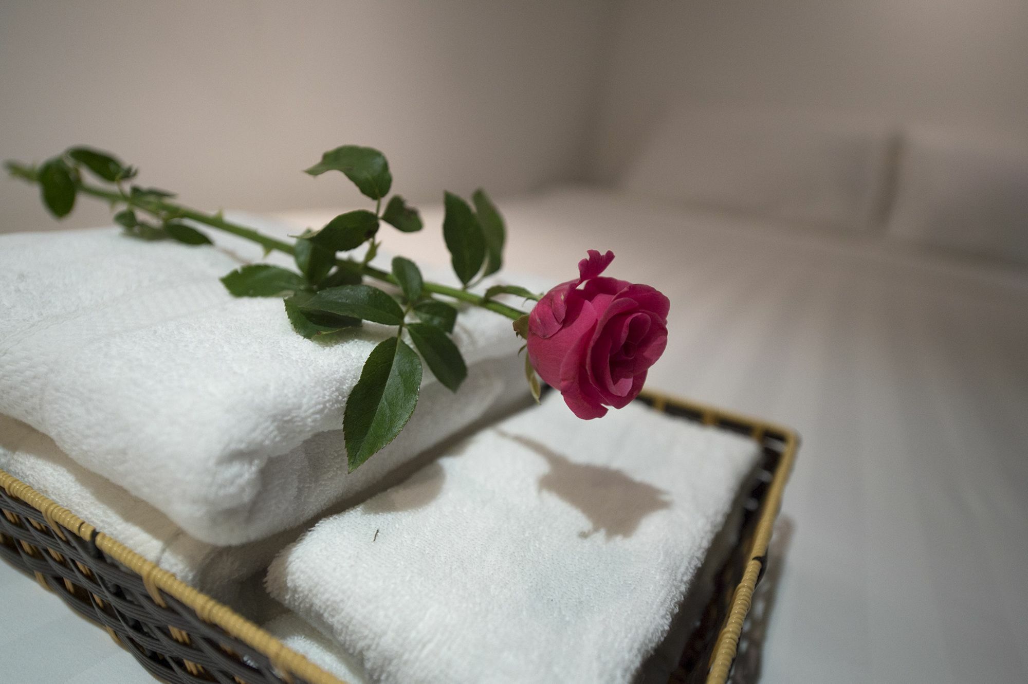 Harmony Homestay - Hanoi Homestay In Old Quarter ภายนอก รูปภาพ