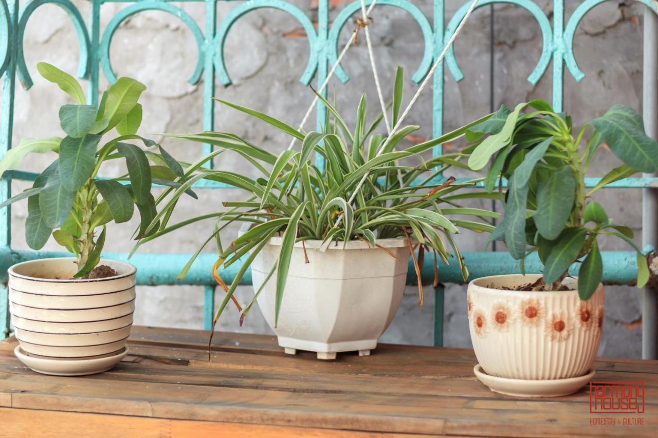 Harmony Homestay - Hanoi Homestay In Old Quarter ภายนอก รูปภาพ